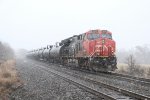 As another band of snow comes through, CN 3055 heads away as the rear DPU on U756